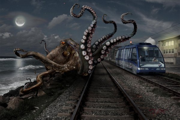 Hydra kraken