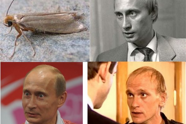 Kraken ссылка krakentor site