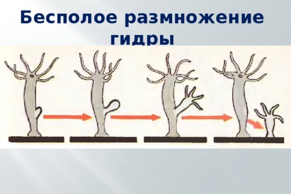 Кракен нарко шоп