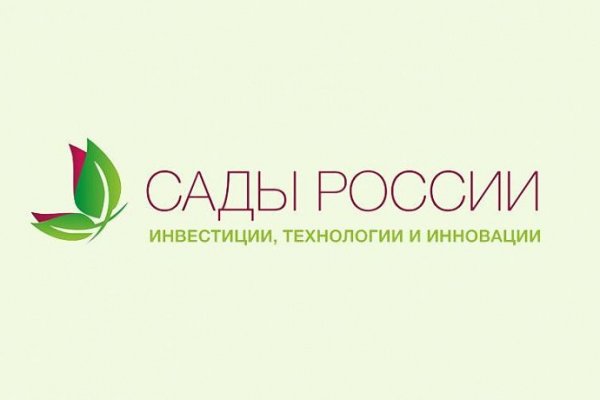 Ссылка в даркнет