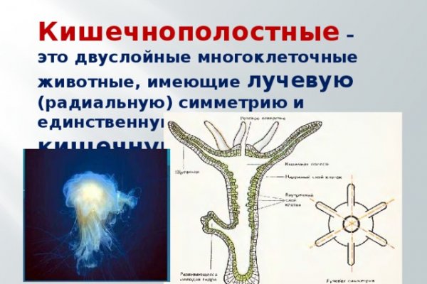 Кракен маркет зайти