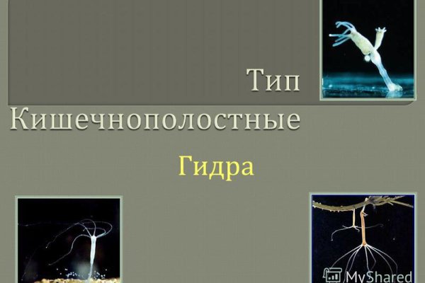 Ссылка на кракен в браузере