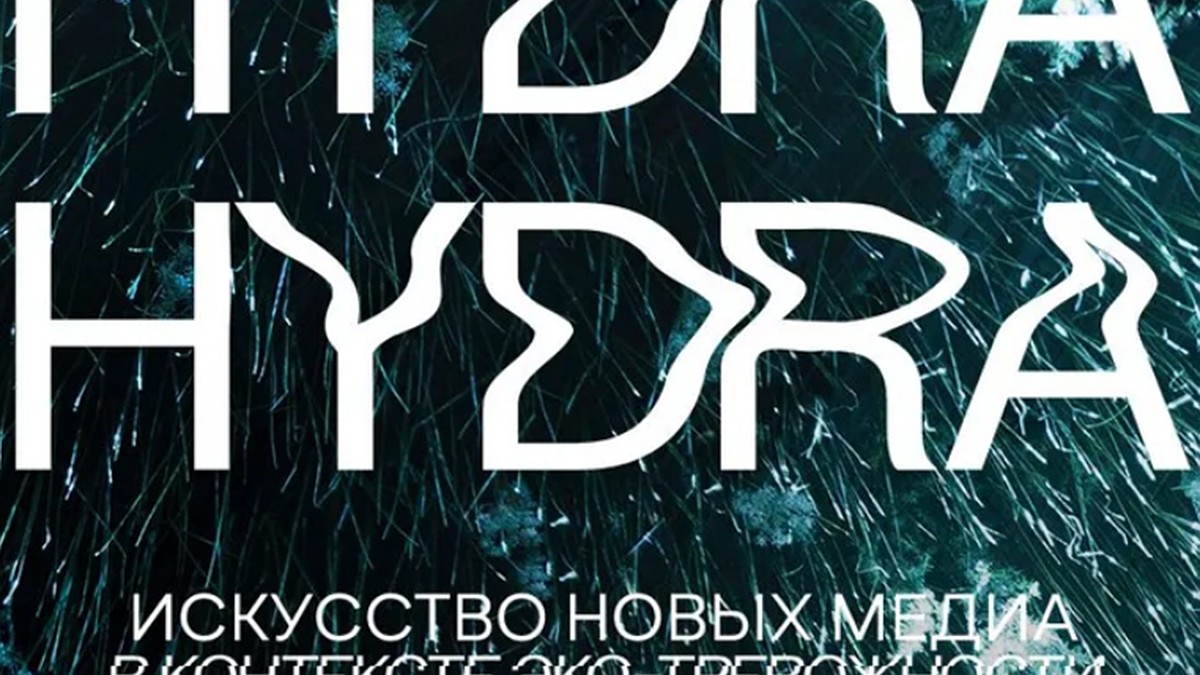 Kraken krn